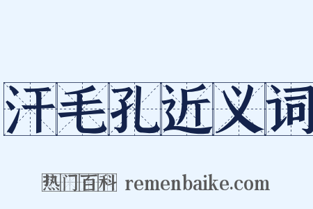 汗毛孔近义词是什么意思的图片